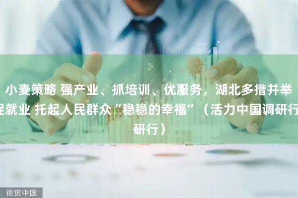 小麦策略 强产业、抓培训、优服务，湖北多措并举促就业 托起人民群众“稳稳的幸福”（活力中国调研行）