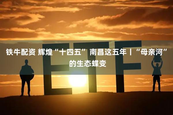 铁牛配资 辉煌“十四五” 南昌这五年丨“母亲河” 的生态蝶变